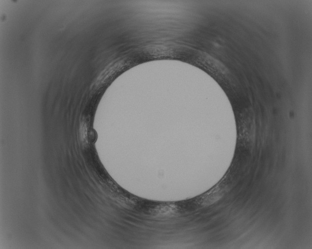 X0000067950124200605041835