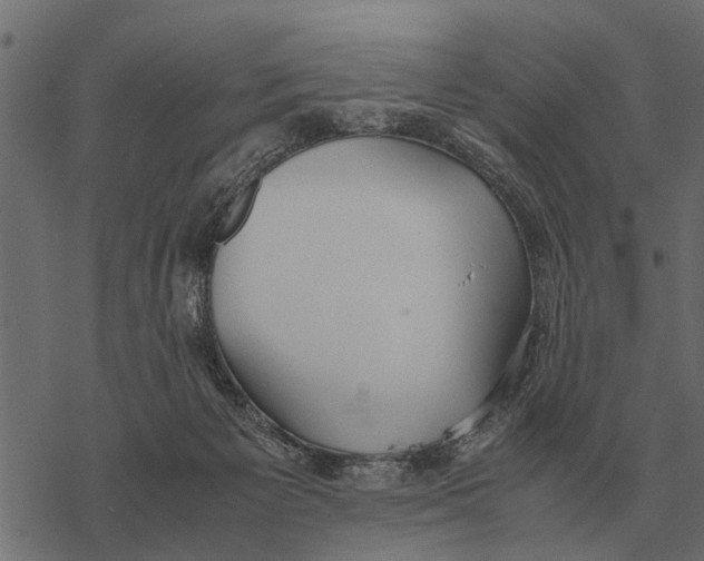 X0000067950125200605041835