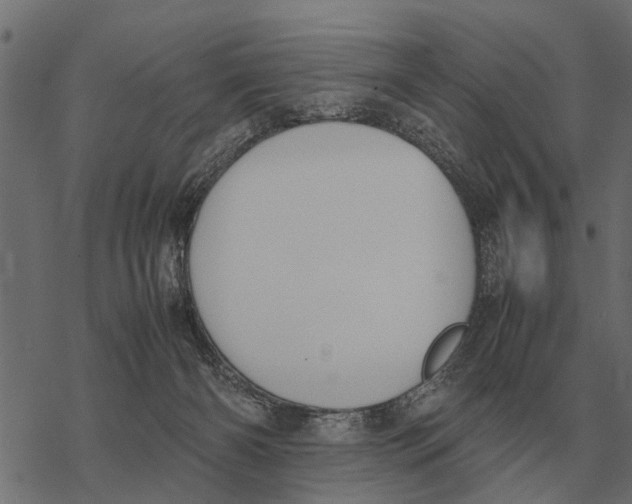 X0000067950126200605041835