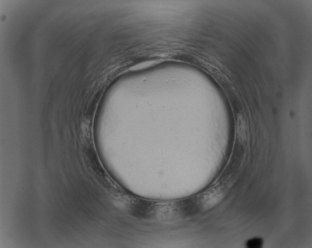 X0000067950127200605041835