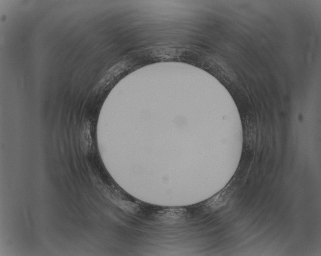 X0000067950128200605041835