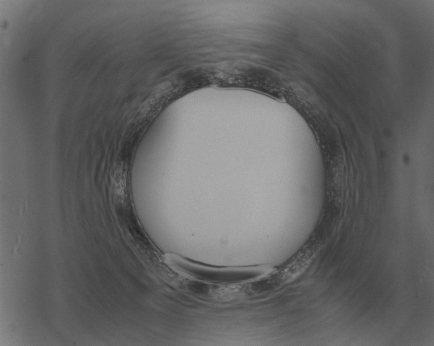 X0000067950129200605041835