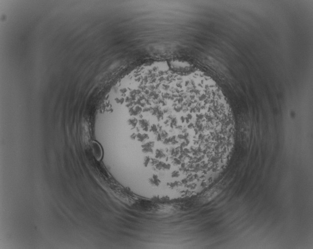 X0000067950130200605041835