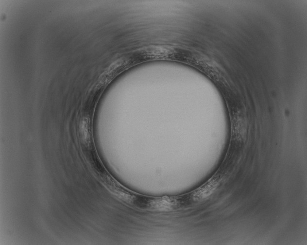 X0000067950131200605041835