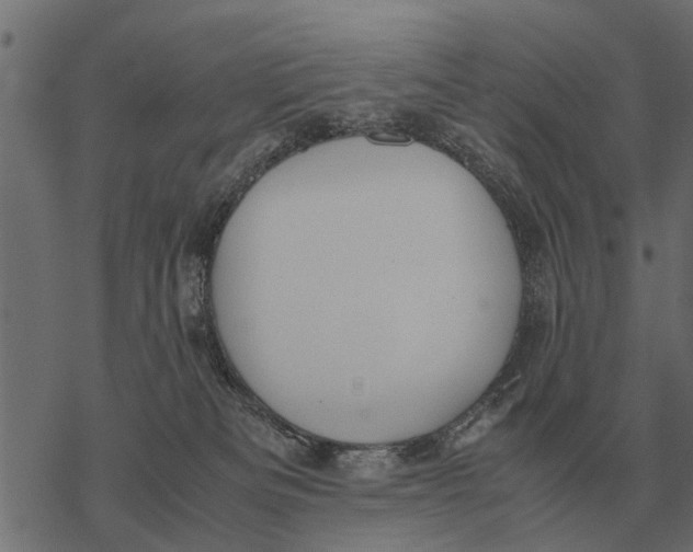 X0000067950133200605041835