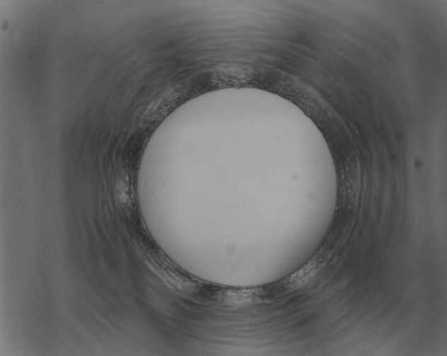 X0000067950134200605041835