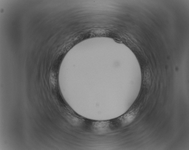 X0000067950135200605041835