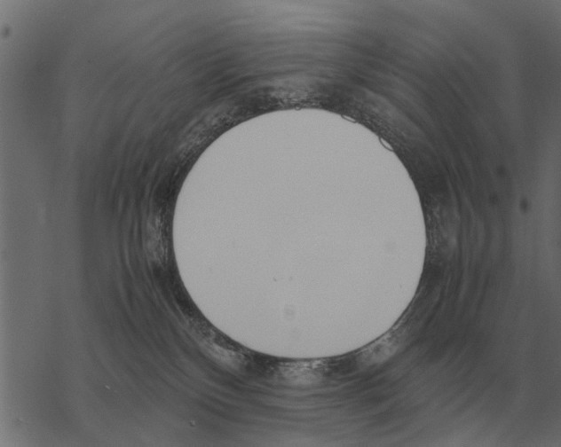 X0000067950136200605041835