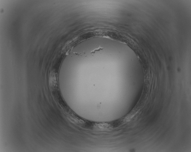 X0000067950137200605041835