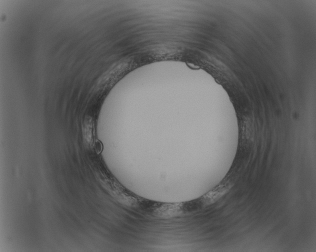 X0000067950138200605041835