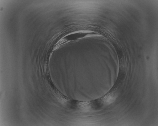 X0000067950139200605041835