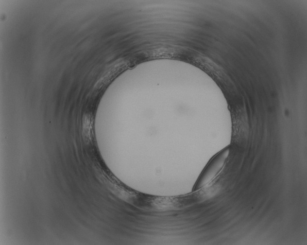 X0000067950142200605041835