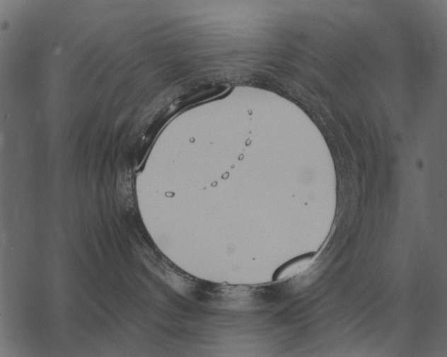 X0000067950144200605041835