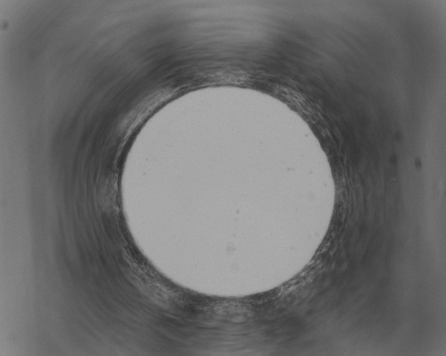 X0000067950146200605041834