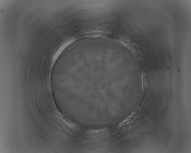 X0000067950147200605041834