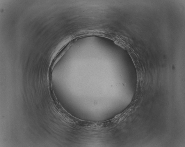 X0000067950148200605041834