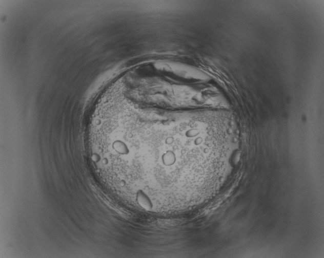 X0000067950149200605041834