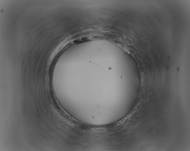 X0000067950150200605041834