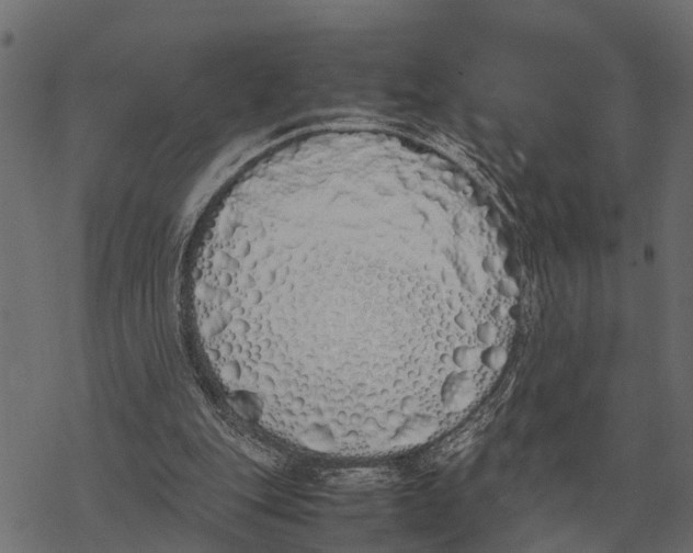 X0000067950151200605041834