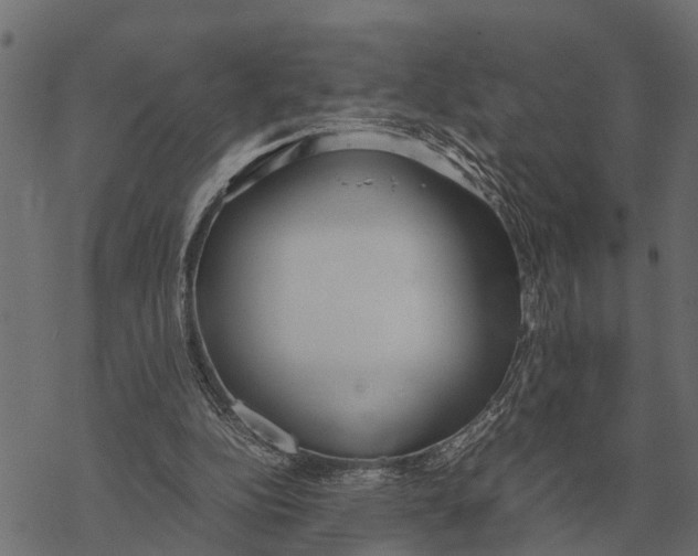 X0000067950152200605041834