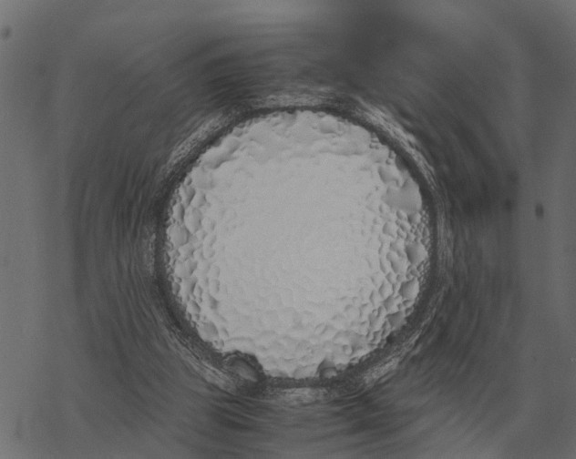 X0000067950153200605041834