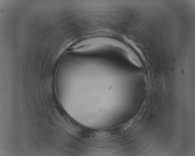 X0000067950154200605041835