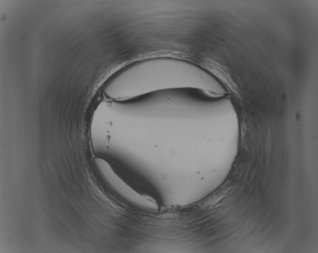 X0000067950156200605041835