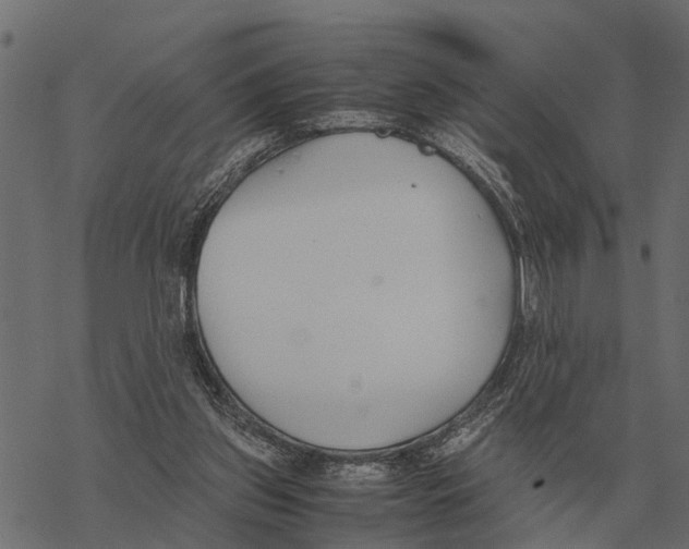 X0000067950157200605041835