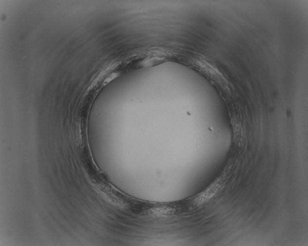 X0000067950158200605041835