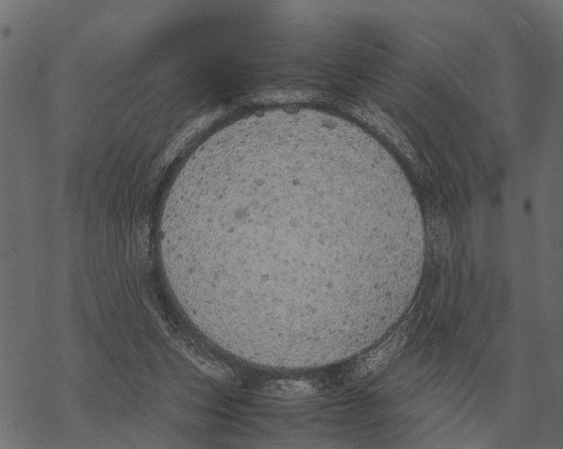 X0000067950159200605041835