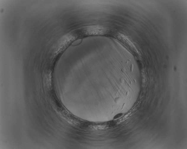 X0000067950163200605041835