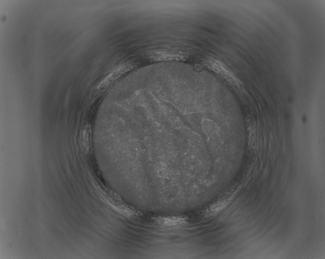 X0000067950165200605041835