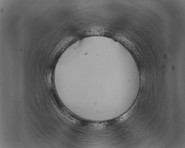 X0000067950166200605041835