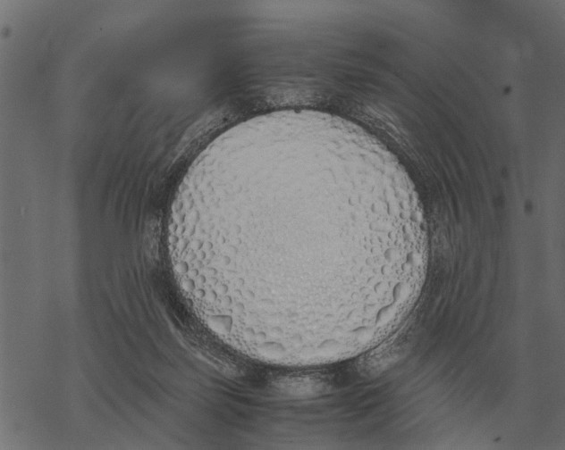 X0000067950171200605041835