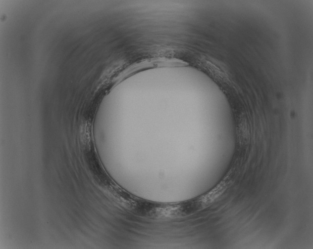 X0000067950172200605041835