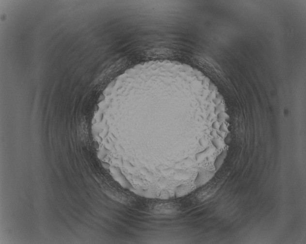 X0000067950173200605041835