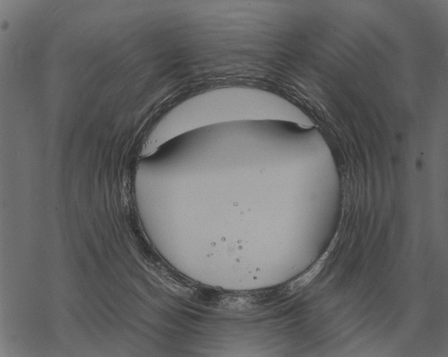 X0000067950174200605041835