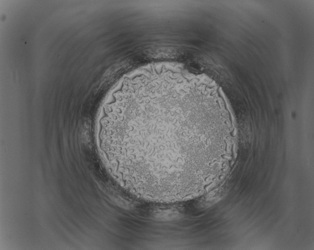 X0000067950175200605041835