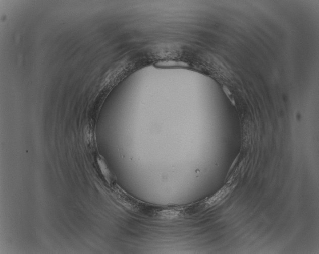 X0000067950176200605041835