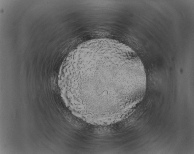 X0000067950177200605041835