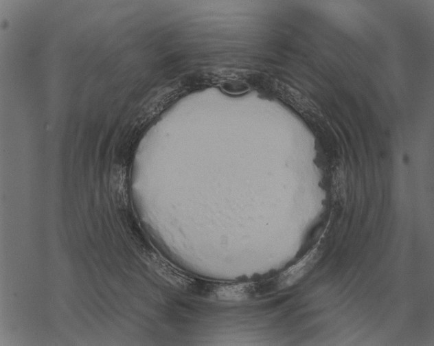 X0000067950178200605041835