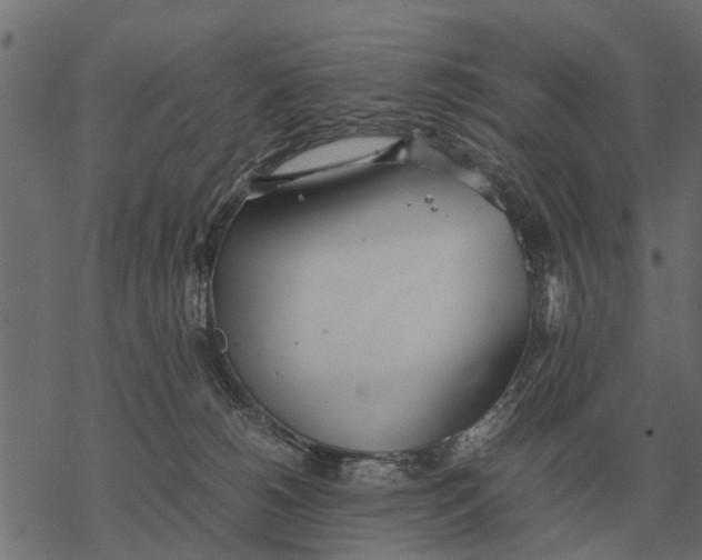 X0000067950180200605041835