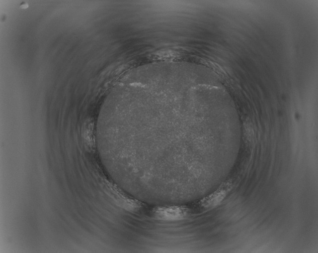 X0000067950181200605041835