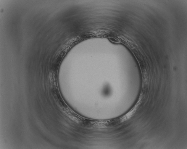 X0000067950182200605041835