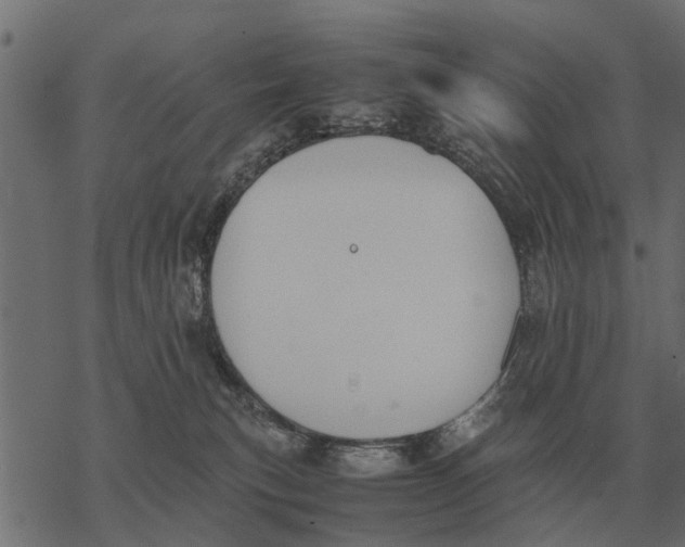 X0000067950183200605041835