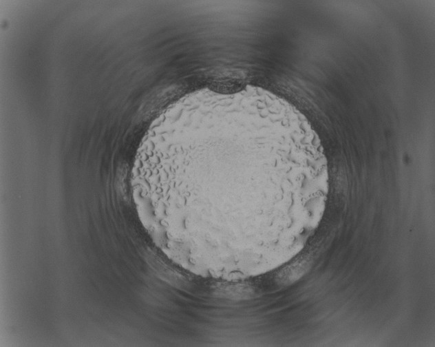 X0000067950185200605041835