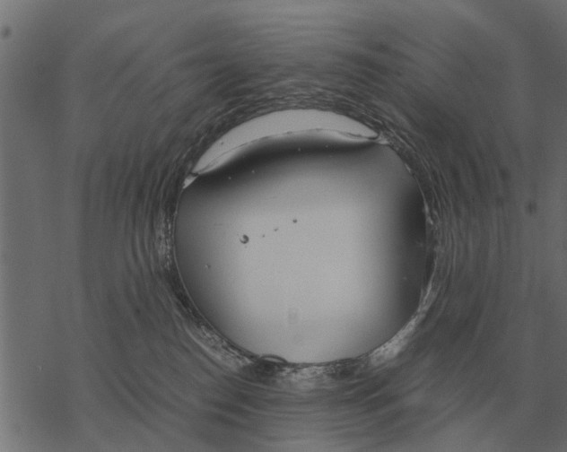 X0000067950186200605041835