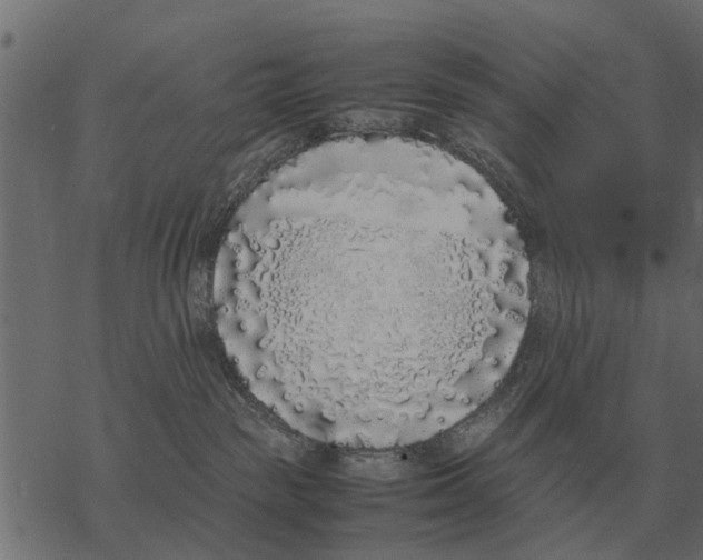 X0000067950189200605041835