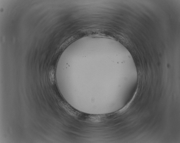 X0000067950190200605041835