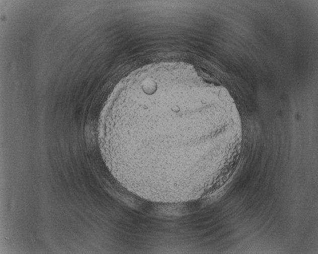 X0000067950191200605041835